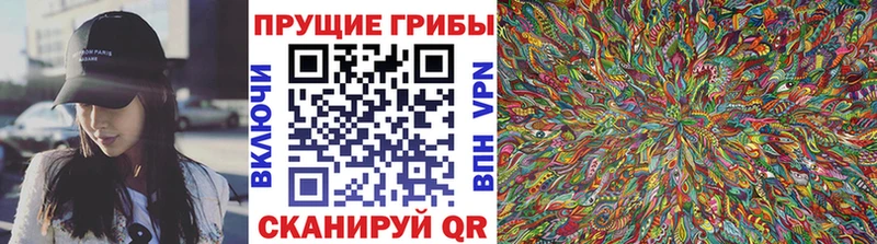 Галлюциногенные грибы ЛСД  Купить закладки  Калининец 